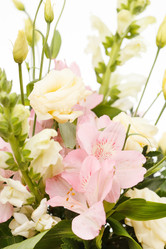 Similar image 2648021