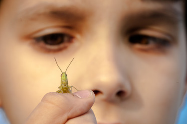 Similar image 2648024