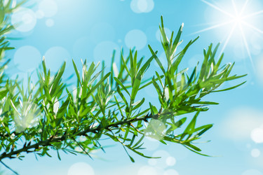 Similar image 2648116