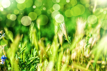 Similar image 2648118