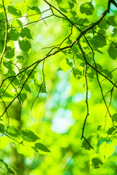 Similar image 2648123