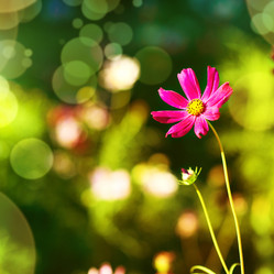 Similar image 2648125