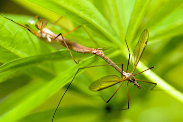 Similar image 2648126