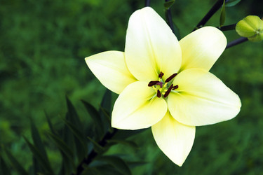 Similar image 2648128