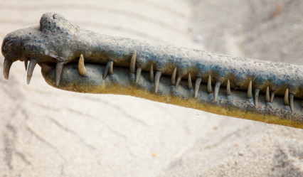 Similar image 2648365