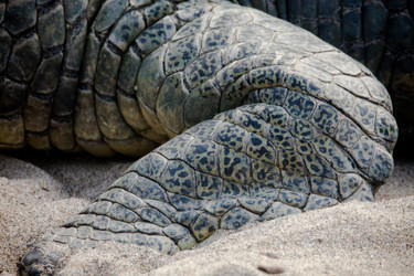 Similar image 2648367