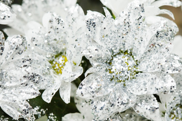 Similar image 2648488