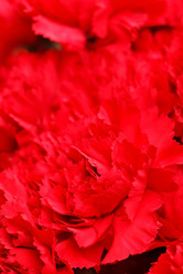 Similar image 2648504