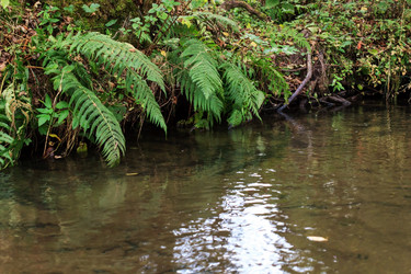 Similar image 2648640