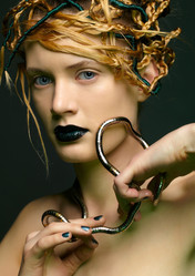 Similar image 2648921