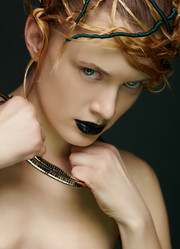 Similar image 2648929