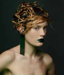 Similar image 2648954