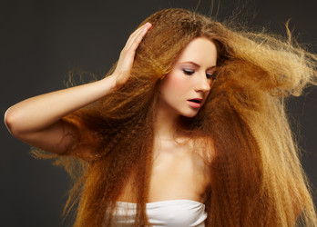 Similar image 2649164