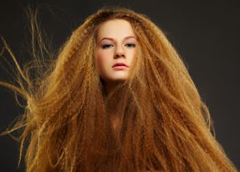 Similar image 2649172