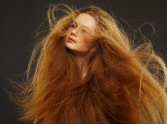 Similar image 2649173