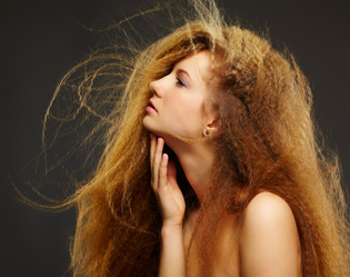 Similar image 2649193