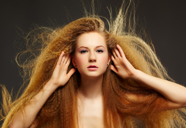 Similar image 2649196