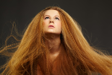 Similar image 2649226