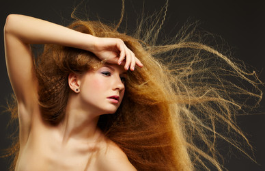 Similar image 2649230