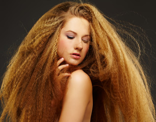 Similar image 2649250