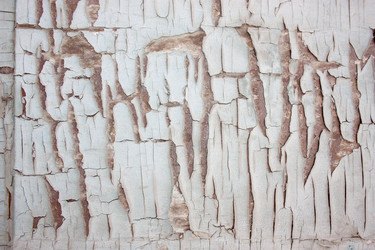 Similar image 2649298