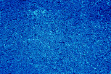 Similar image 2649312