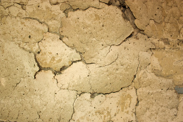 Similar image 2649364