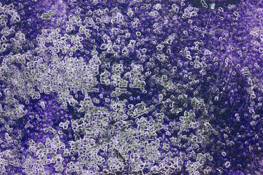 Similar image 2649437