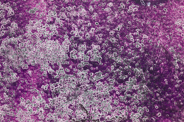 Similar image 2649439