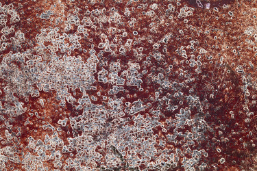 Similar image 2649440