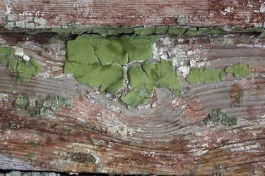 Similar image 2650056