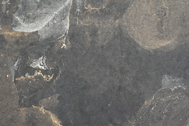 Similar image 2650125