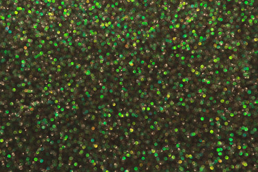 Similar image 2650305