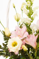 Similar image 2650524