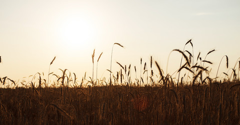 Similar image 2650528