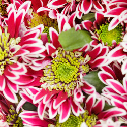 Similar image 2650544