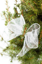 Similar image 2650547