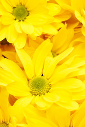 Similar image 2650556