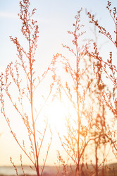 Similar image 2650624