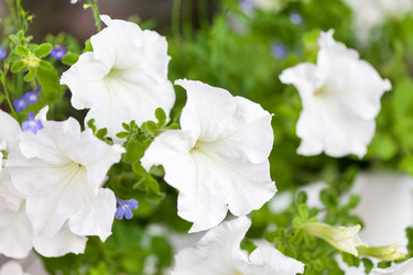 Similar image 2650680