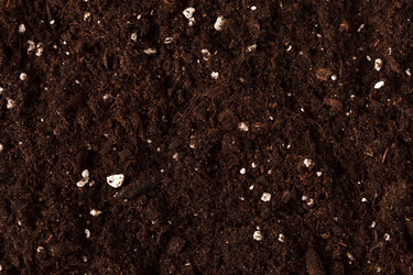 Similar image 2650689