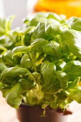 Similar image 2650697