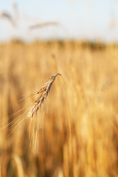 Similar image 2650752