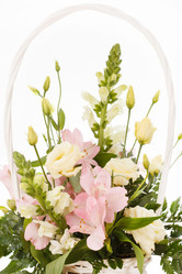 Similar image 2650767