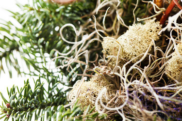 Similar image 2650772