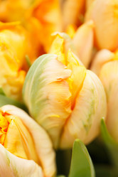 Similar image 2650777