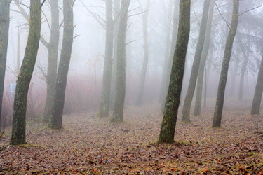 Similar image 2650778