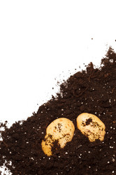 Similar image 2650896