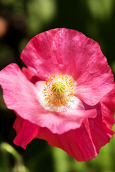 Similar image 2650901