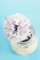 Similar image 2650958